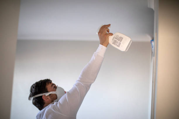 Best Health and Safety Mold Remediation in Terra Alta, WV
