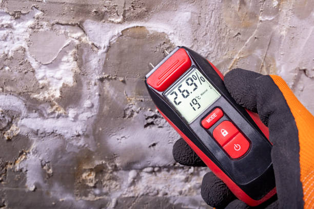 Best Post-Remediation Services in Terra Alta, WV