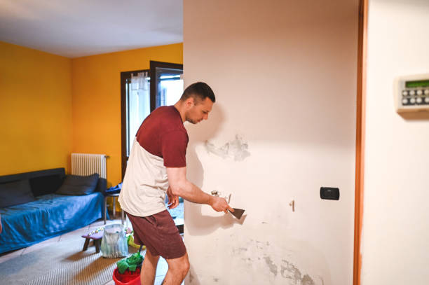 Professional Mold Remediation in Terra Alta, WV